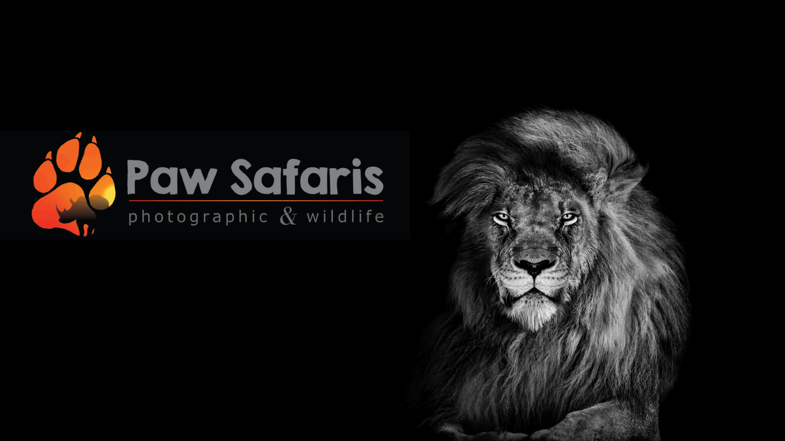 Welcome to Paw Safaris